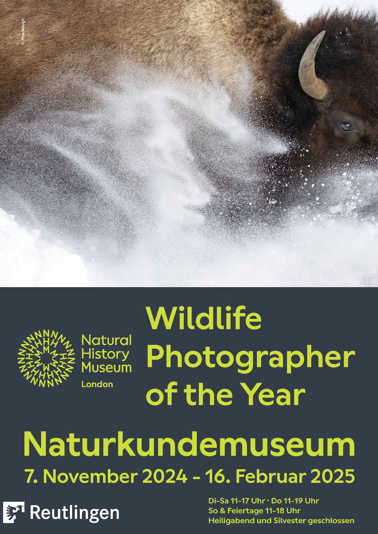 Wildlife Photographer of the Year – Die besten Naturfotos des Jahres