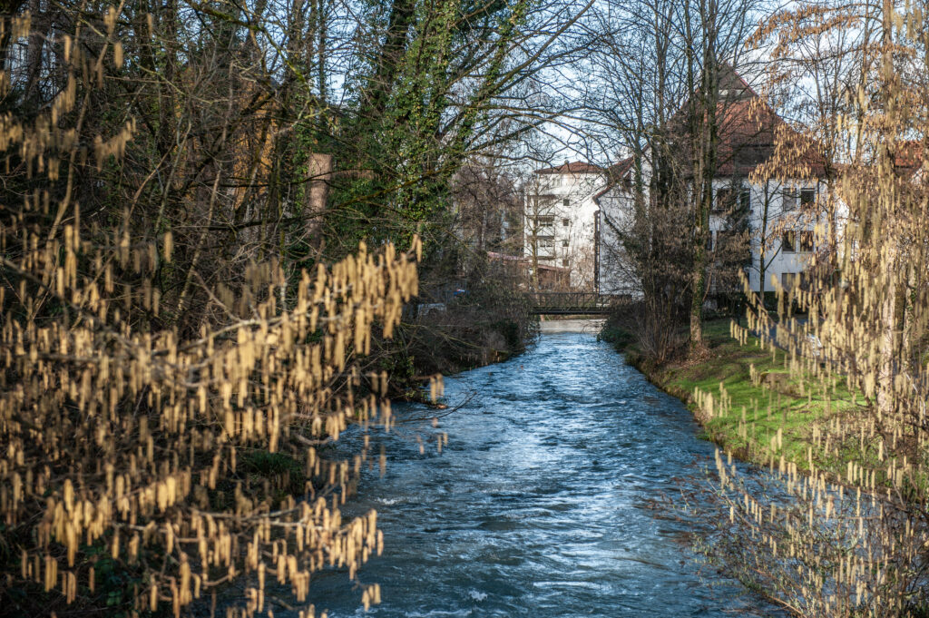 Die Echaz flie&szlig;t zwischen kahlen B&auml;umen hindurch, im Hintergrund sind Wohnh&auml;user und eine kleine Br&uuml;cke zu sehen.